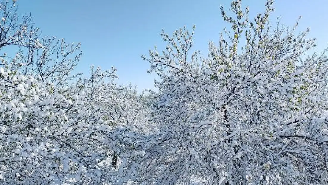 Bakan Yumaklı: TARSİM Sigortası Olanlar Ödemelerini Alacak!