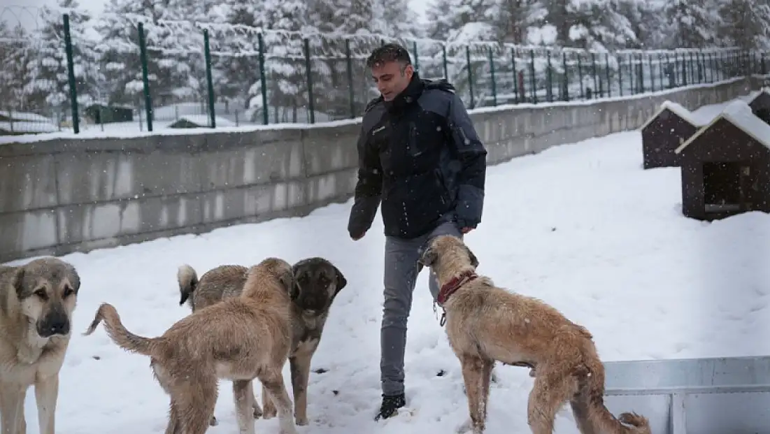 Battalgazi Belediyesi Tarafından Hizmete Sunulan Hayvan Barınağı Faliyette