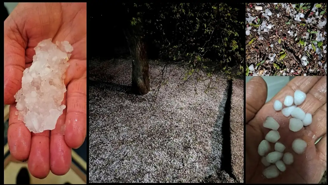 Kayısıyı Dolu Vurdu