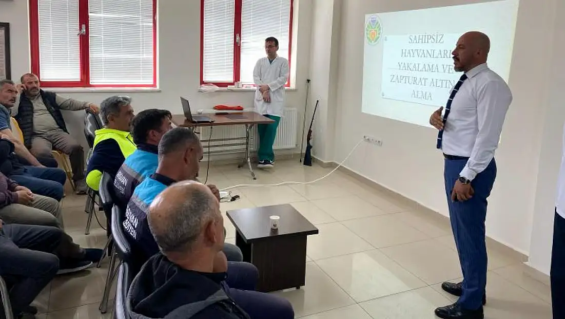Sahipsiz Hayvanlara Yaklaşma ve Müdahale Teknikleri Konulu Eğitim