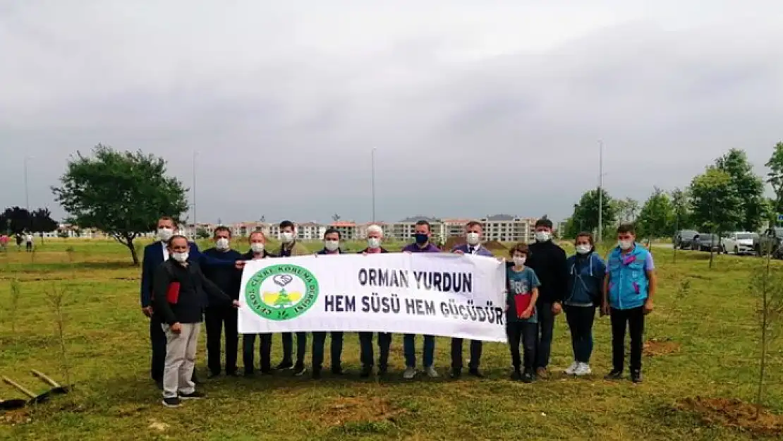 750 fidan toprakla buluştu!