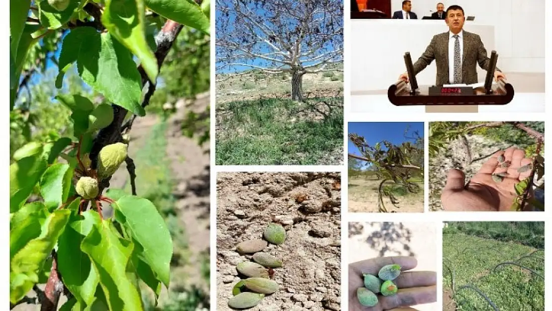 Ağbaba Don Felaketi İçin Meclis Araştırma Komisyonu Kurulmasını İstedi