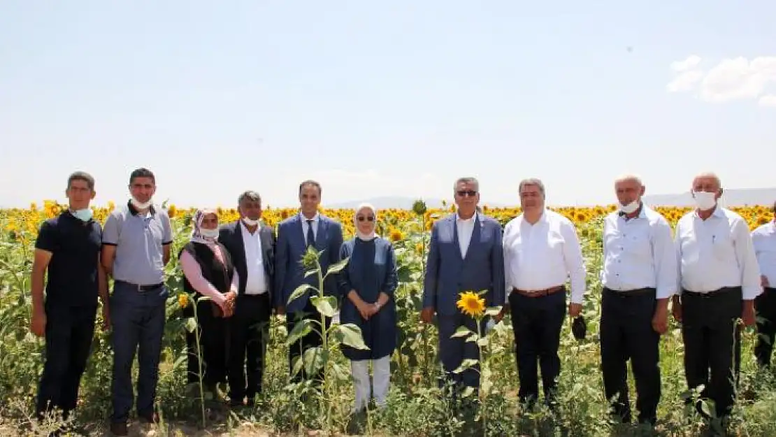 AK Partili Çalık: Biz Yaptıklarımızla Konuşuruz