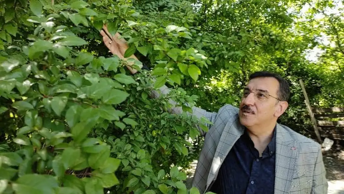 AK Partili Mv.Tüfenkci Gündemi Değerlendirdi