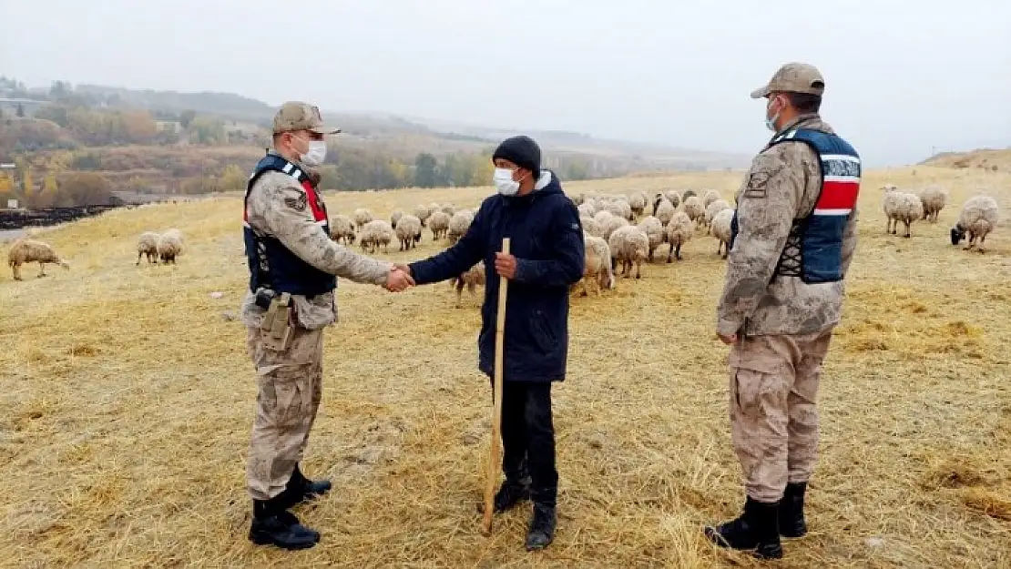 Akçadağ'da Kayıp Hayvanları Jandarma Dronla Buldu