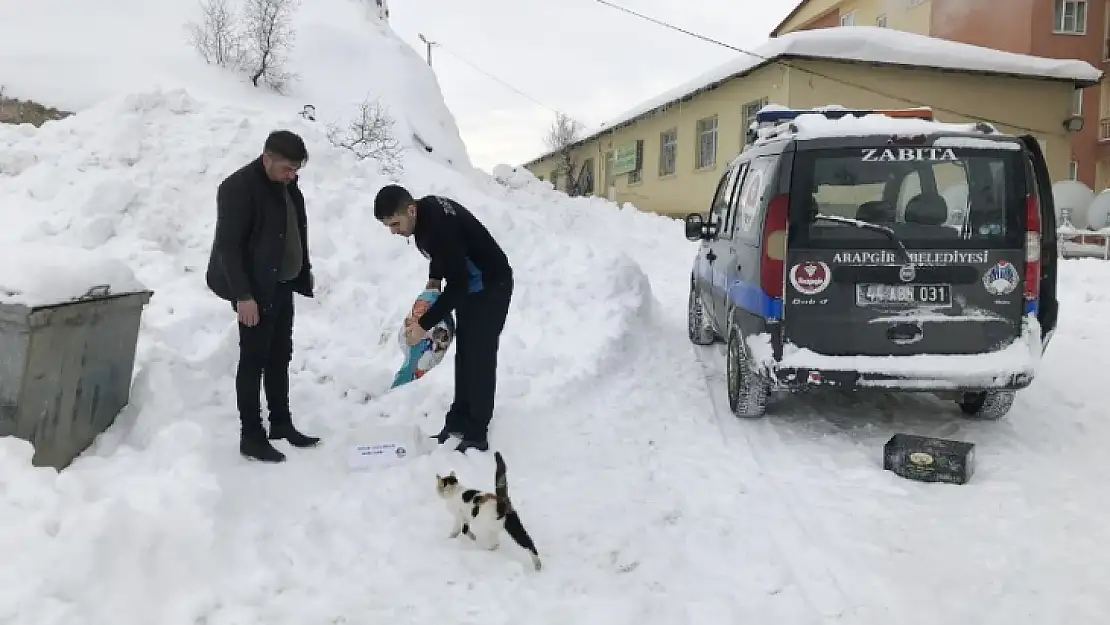 Arapgir Belediyesi Sokak Hayvanlarını Besliyor