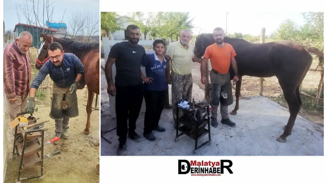 At Sevgisinden Nalbantçılığa Giden Hayat Hikayesi
