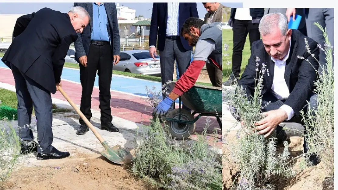 Başkan Çınar Bostanbaşı Mahallesindeki Lavanta Parkı İnceledi