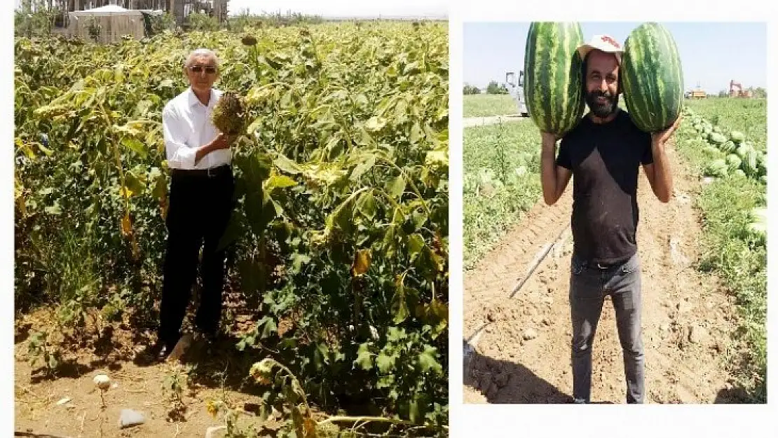 Başkan Evren' Ülkenin Kalkınması Üretimden Geçer'