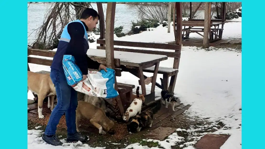 Başkan Güder' Can Dostlarımızı Soğukta Yalnız Bırakmıyoruz'