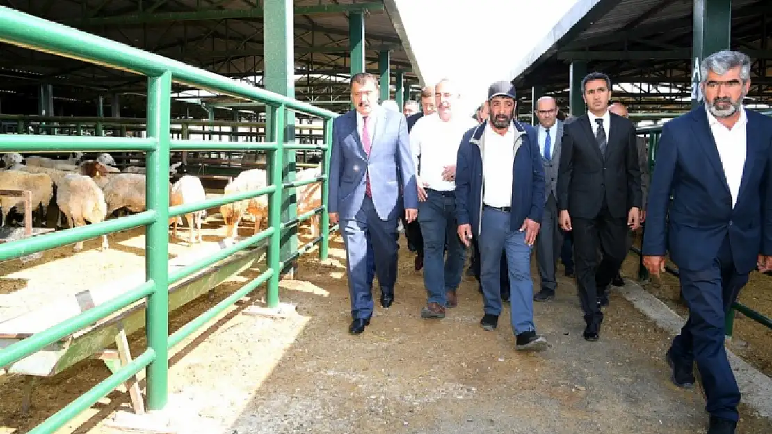 Başkan Gürkan Canlı Hayvan Pazarını İnceledi