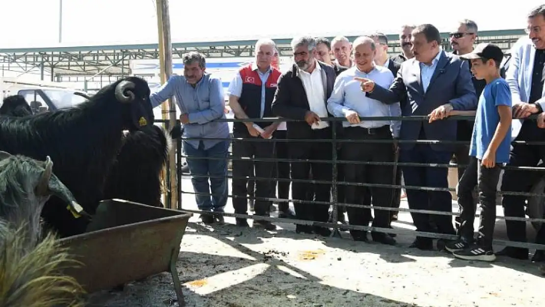 Başkan Gürkan Canlı Hayvan Pazarında İncelemelerde Bulundu