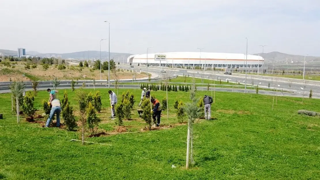 Büyükşehir Belediyesi Parkları ve Refüjleri Yeniliyor