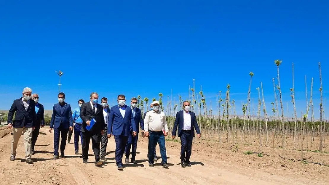 Büyükşehir Belediyesinden 300 Dönümlük Alanda Fidan Üretim Merkezi
