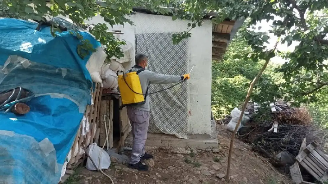 Büyükşehir Belediyesinden Kale'de İlaçlama Çalışmaları