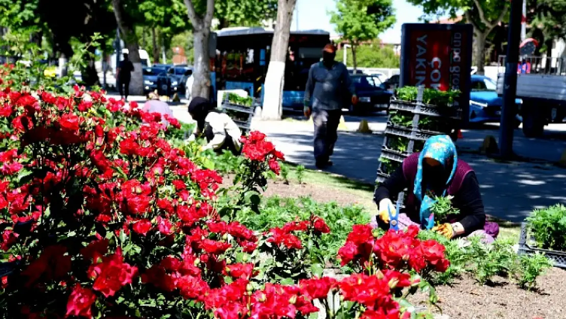 Büyükşehir'den Peyzaj Çalışmaları