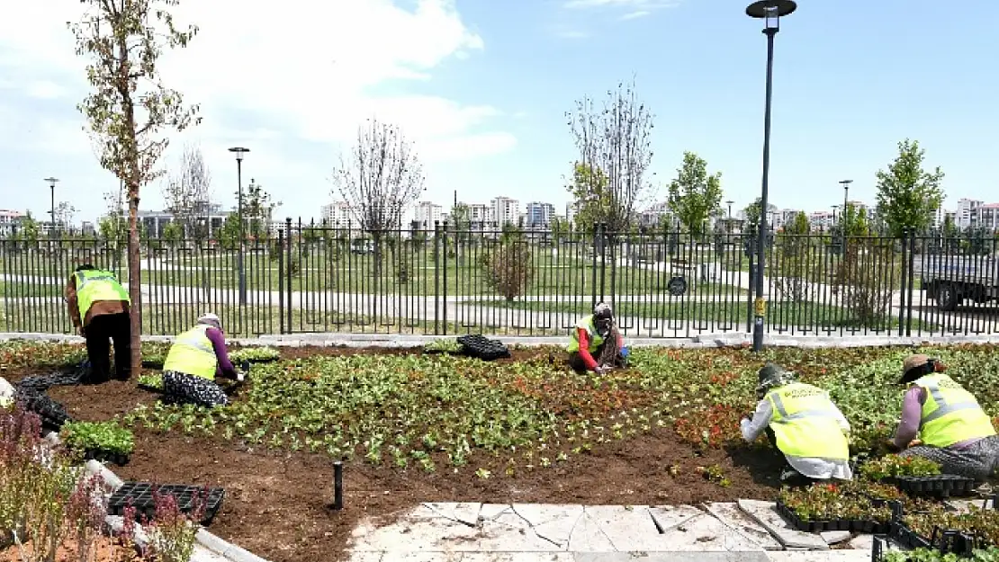 Büyükşehir Şehri Yazlık Çiçeklerle Donatıyor