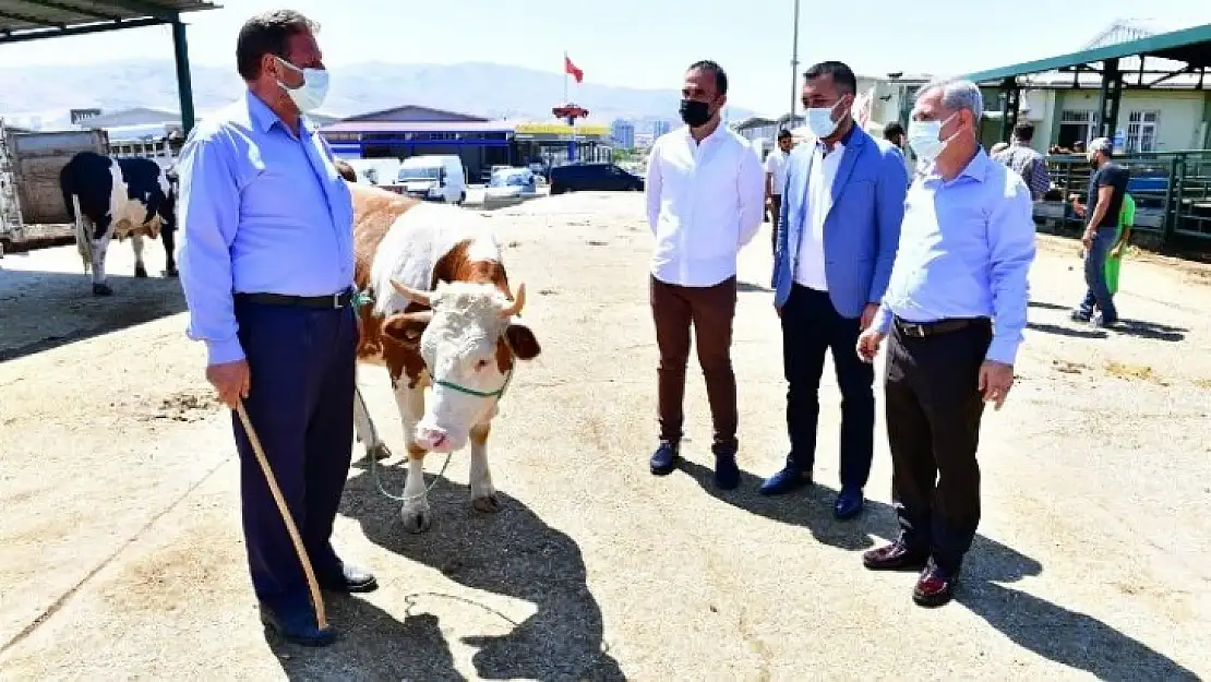 'Canlı Hayvan Pazarında Ciddi Bir Hareketlilik Bekliyoruz'