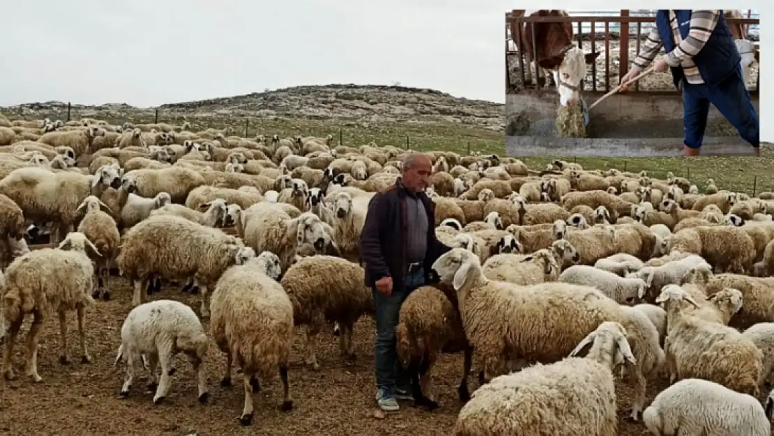 Çiğ Sütte Üretici de Tüketici de Mutsuz Yine Zam Geldi