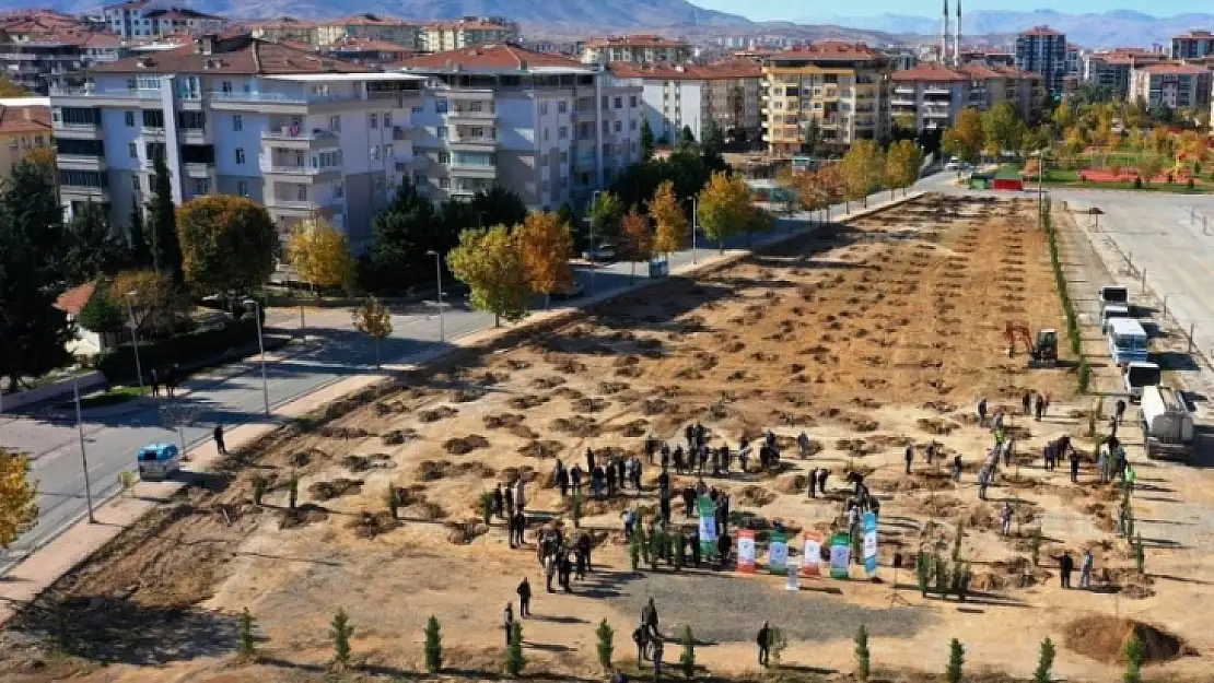 Çınar' 2,5 Yılda 10 Bin 600 Adet Fidanı Toprakla Buluşturduk'