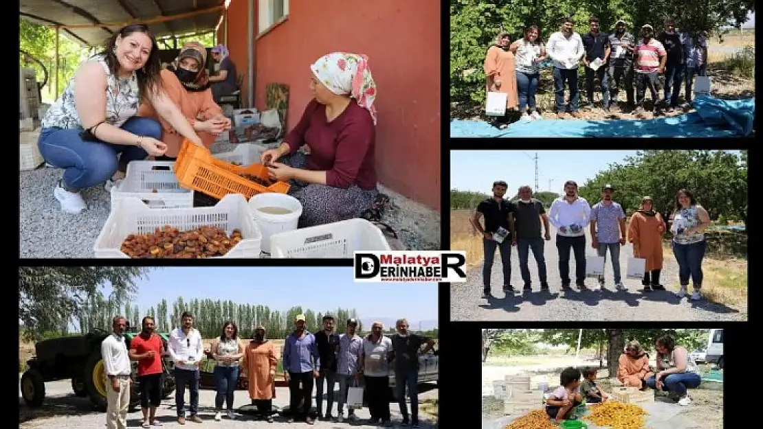 DEVA Partisi Battalgazi Kadın Çalışmaları Başkanı Tuğba Farımaz Tarım İşçileriyle Buluştu
