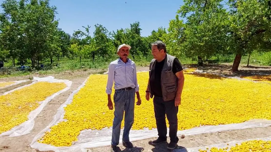 'Devletin Ayakta Kalmasını Devlet Bahçeli Sağladı.'