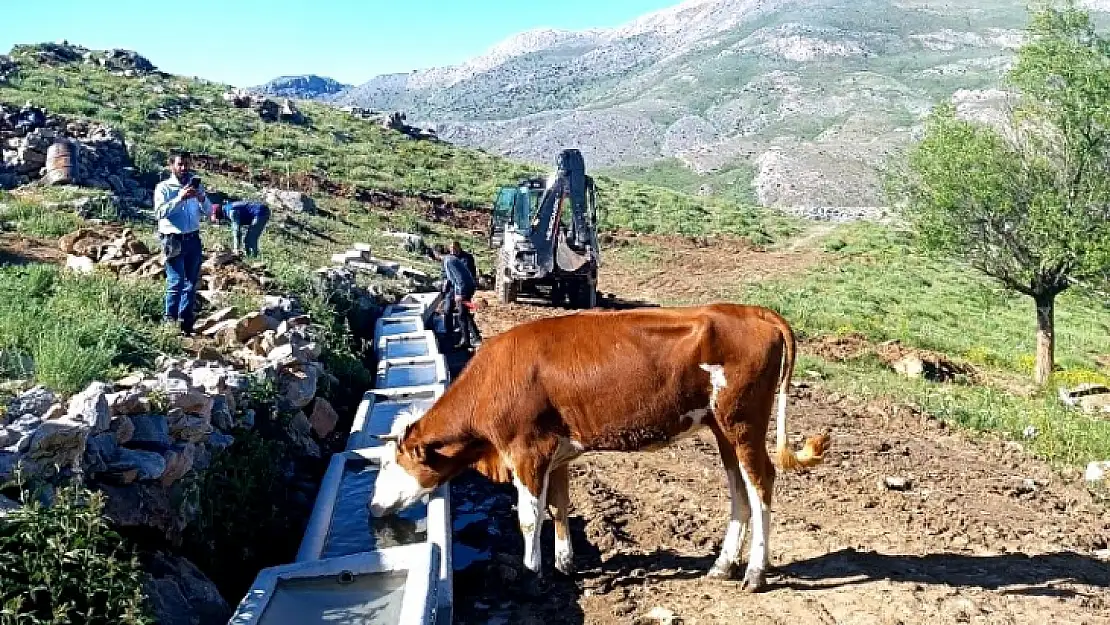 Doğanşehir Belediyesi Yayladaki Hayvanları Unutmadı