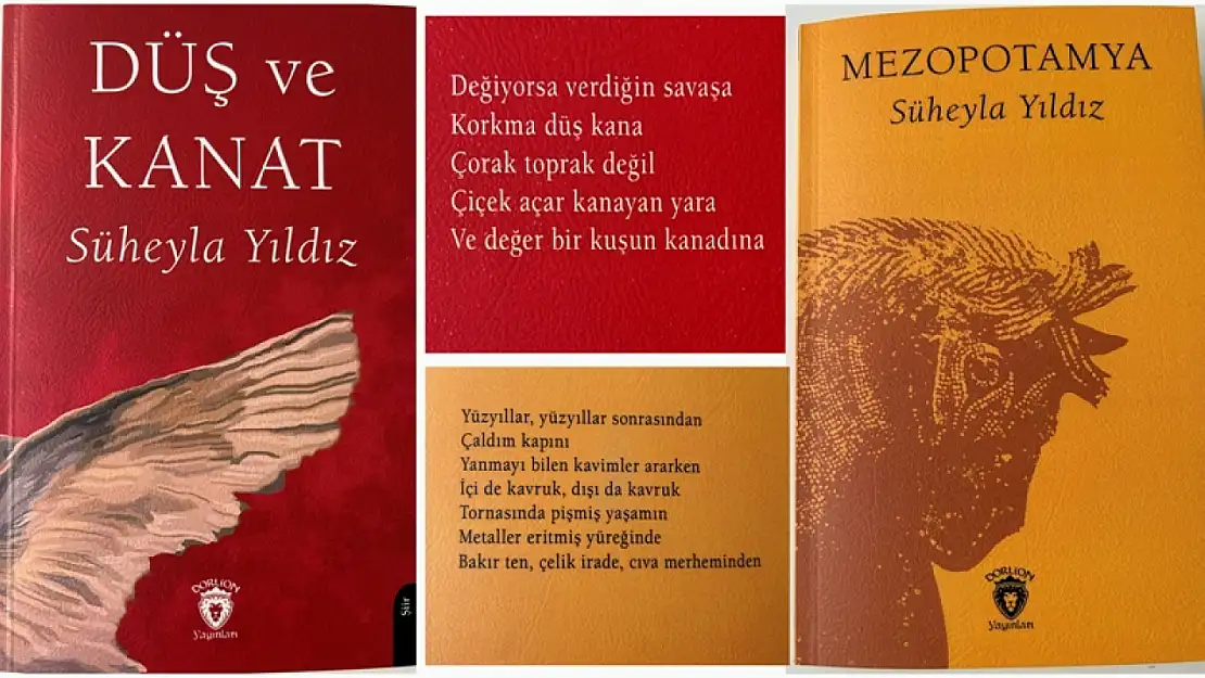Eğitimci Yazar Süheyla Demirci Yıldız'ın' Düş ve Kanat' Serisinin 4. ve 5. Şiir kitabı Yayınlandı