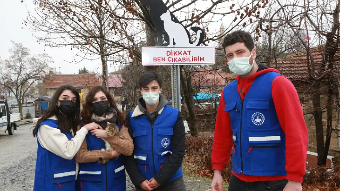 Elazığ Belediyesi, Sokak Hayvanları İçin Uyarı Tabelaları Astı