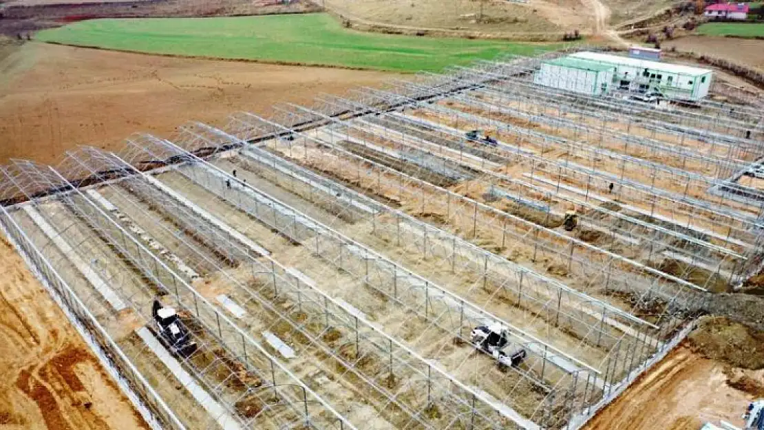 Elazığ'da Jeotermal Sera Alanı'nda Çalışmalar Hızla İlerliyor