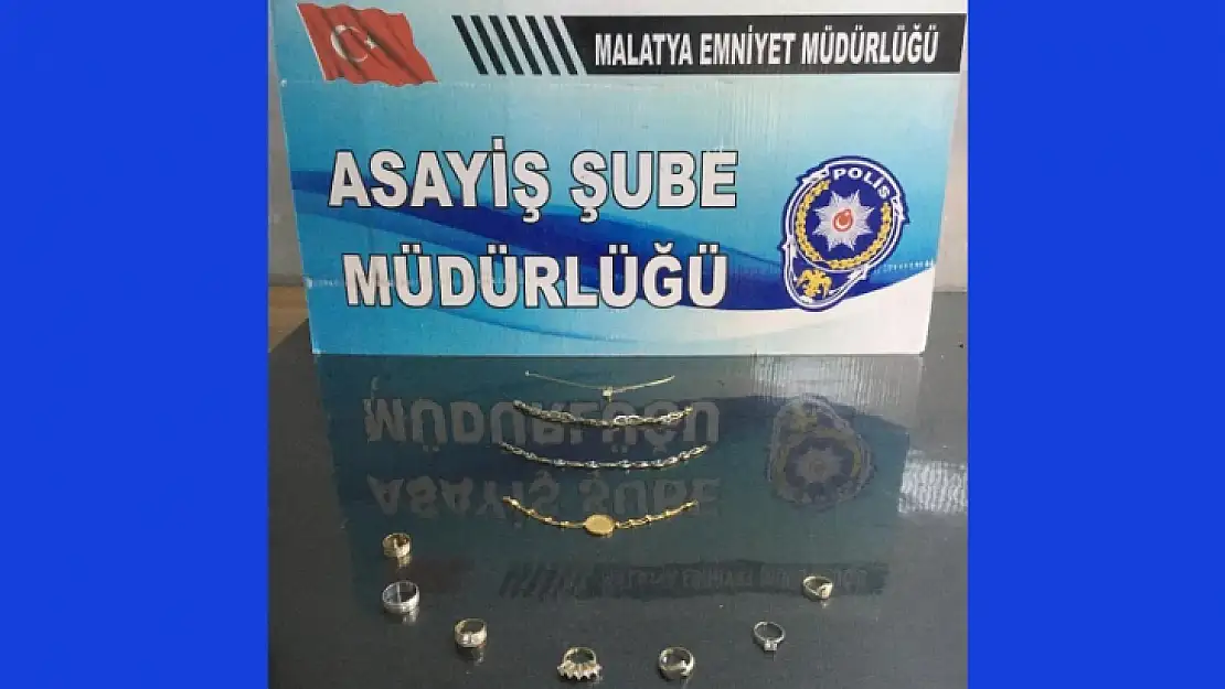 Ev Hırsızları Yakalandı