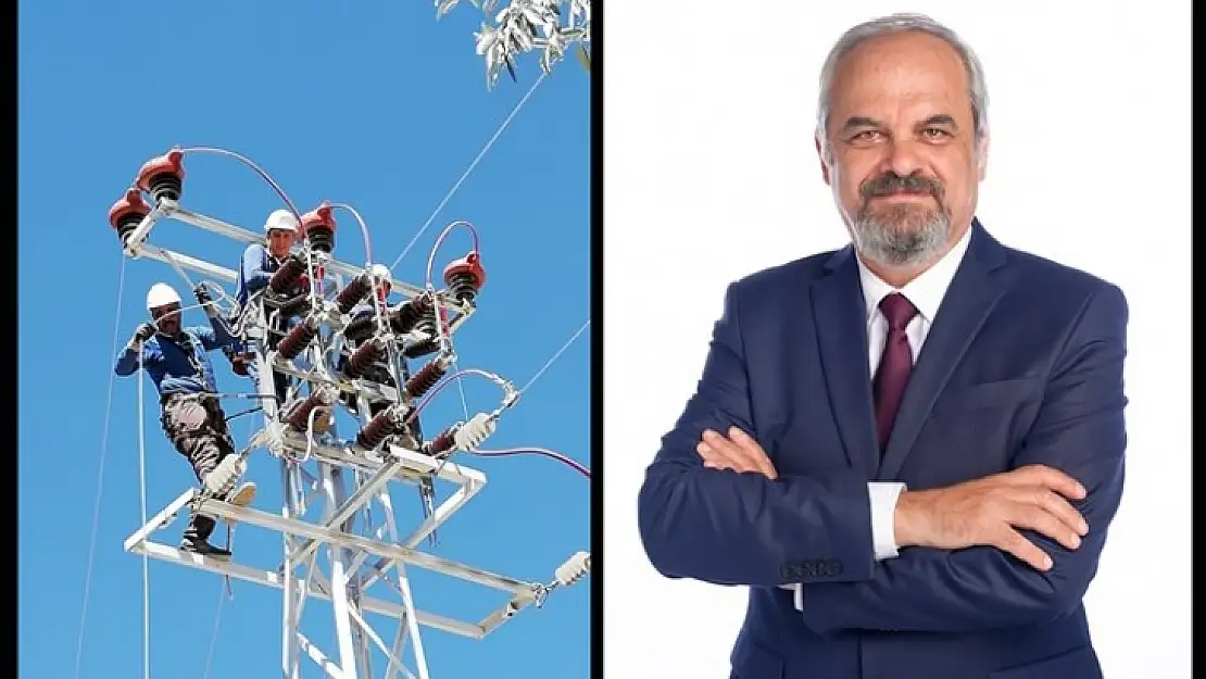Fırat Edaş'ın 'Özgür Kuşlar' Projesiyle Göçmen Kuşlar Güvende