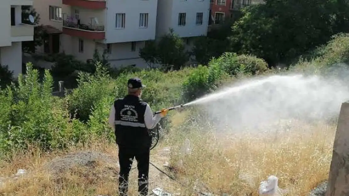Haşereyle Mücadele Çalışmaları Malatya Genelinde Devam Ediyor