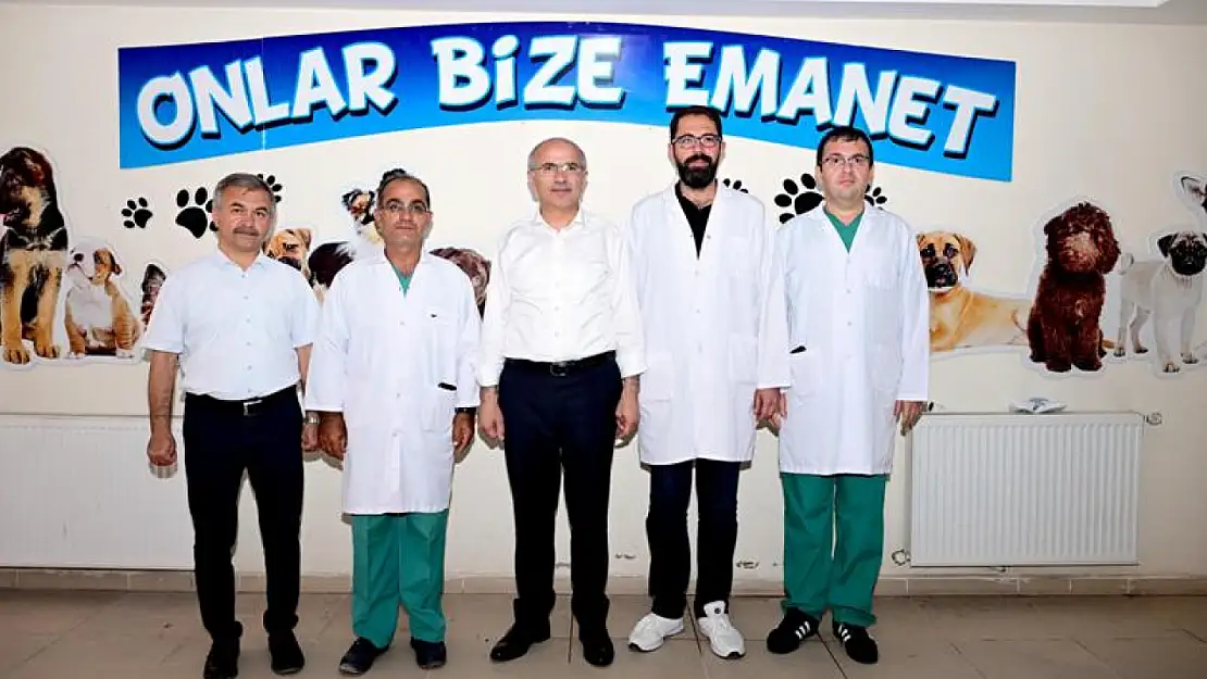 Hayvan Haklarına Karşı Bilinçli Bir Toplum Oluşturmalıyız