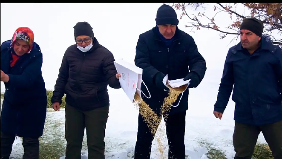 Hekimhan'da Yaban Hayatı İçin Doğaya Yem Bırakıldı