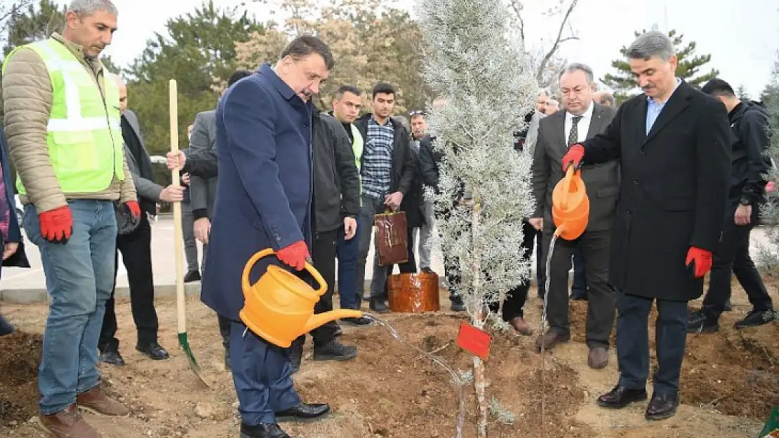 Hemşeri Derneklerinden Ağaç Dikimi