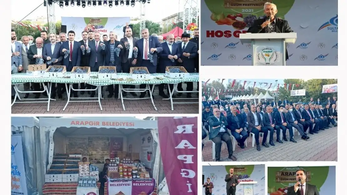 İstanbul'da Arapgir Üzüm Festivali Coşkusu