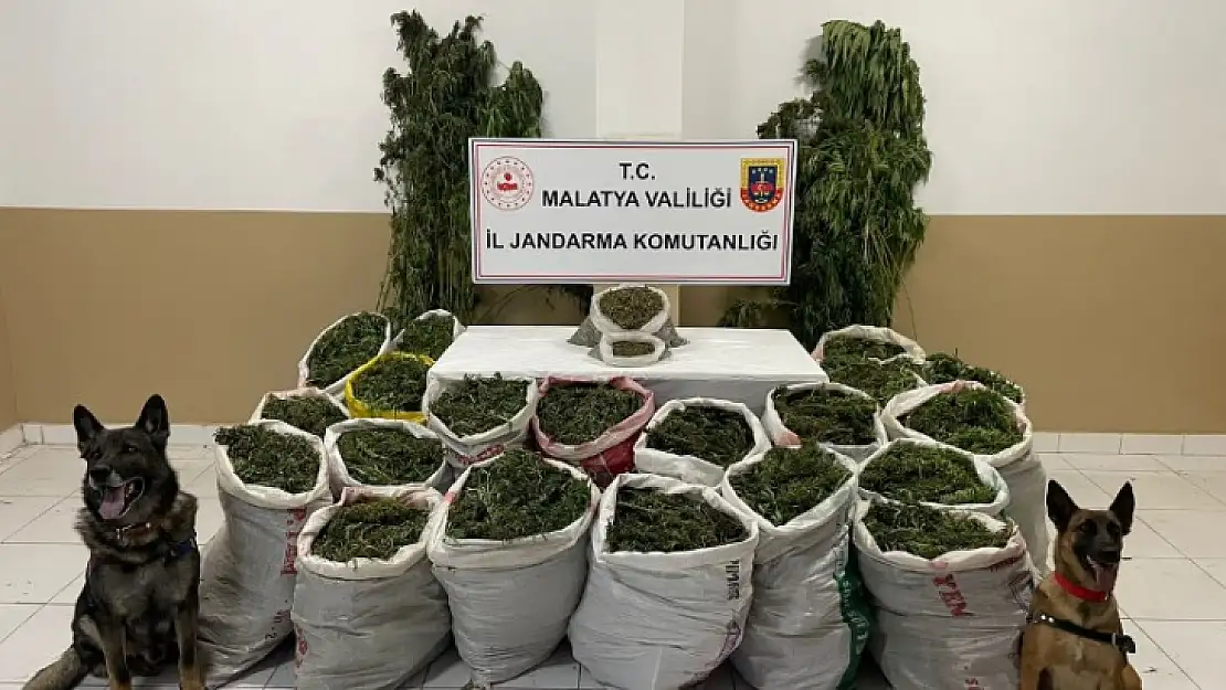 Jandarma'dan Dilek Mahallesinde Uyuşturucu Operasyonu