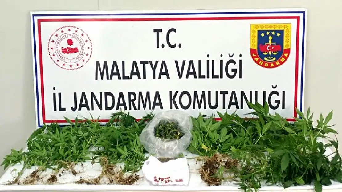 Jandarma'dan Şok Baskın