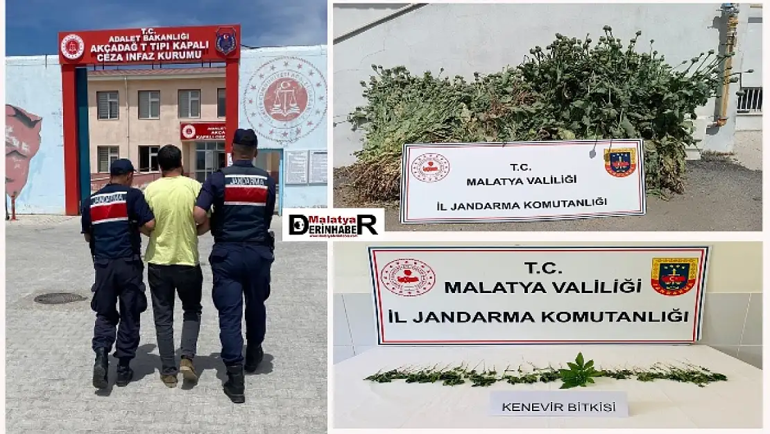 Jandarma'dan Uyuşturucuya Geçit Yok