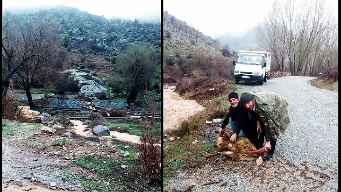 Kadiruşağı Köyünde İnekpınarı İçin Şükür Kurbanı