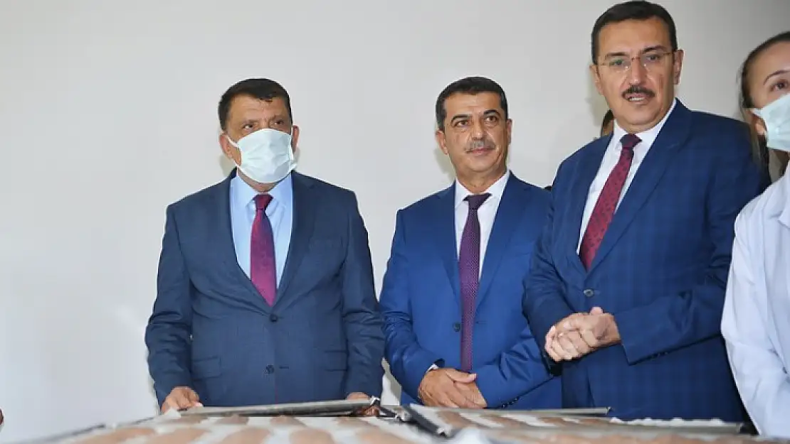 KAEM Glütensiz Bisküvi Tesisi Açılışı Gerçekleşti
