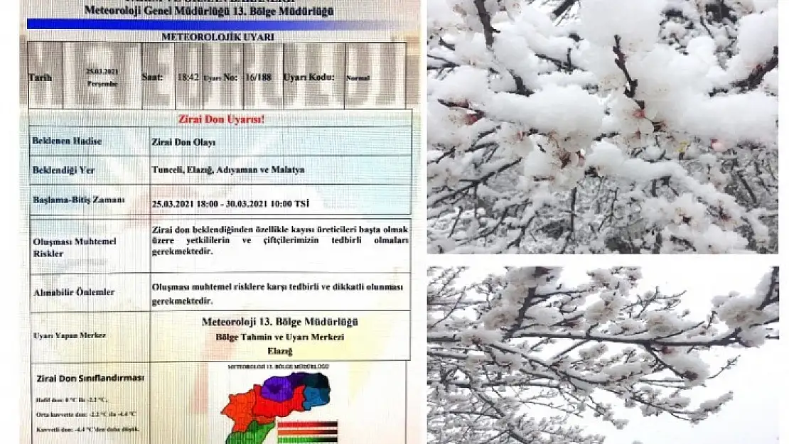 Kayısı Üreticilerine Zirai Don Uyarısı