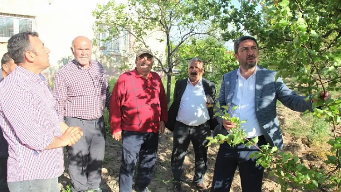 Kiraz, Kayısı Üreticilerinin Sorunlarını Dinledi