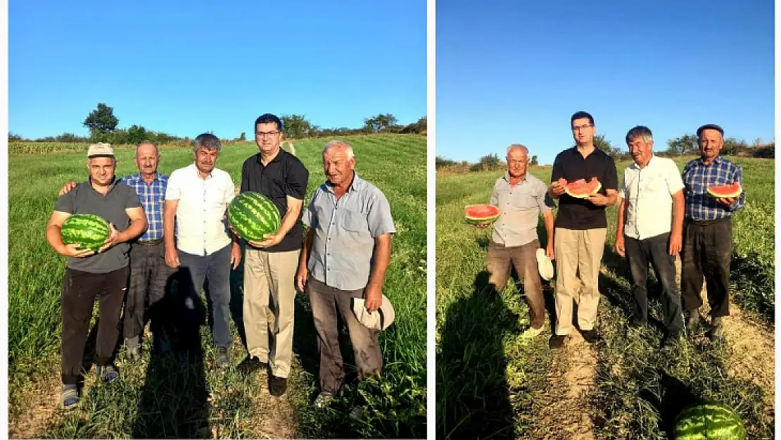 Kırklareli Bayramdere Karpuzu Markalaşma Yolunda