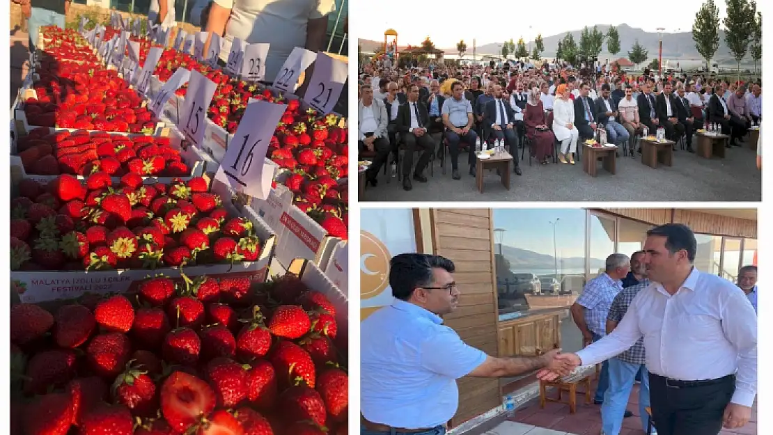 MADEF'in Organize Ettiği 1. Kale Çilek Festivali Coşkulu Geçti