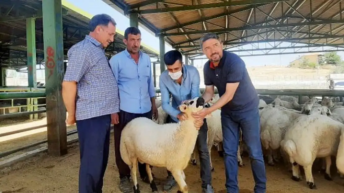Malatya Çiftçisinin Zirai Kredi Borçları Ertelenmiyor..