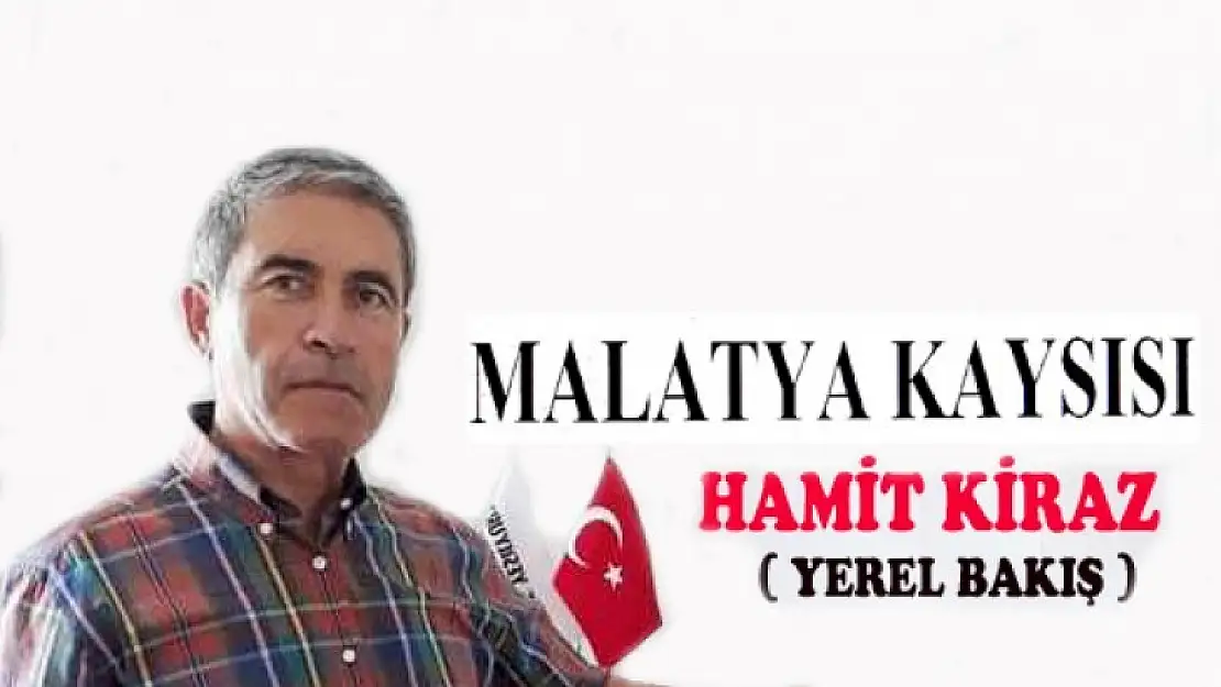 Malatya ile  Özdeşleşmiş Tek Ürünümüz Kayısı