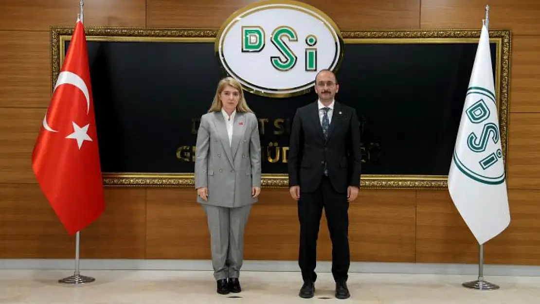 Milletvekili Ölmeztoprak, Dsi Genel Müdürü Mehmet Akif Balta İle Görüştü