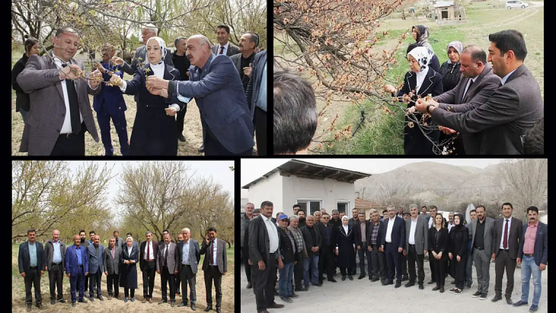 Mv. Çalık' Kayısının Yandığını Görüyoruz'